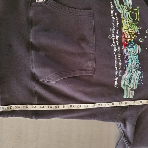 A.B.C. Advisory Board Crystals Peerless Pullover Embroidered Black Hoodie L / XL - Picture 11 of 16